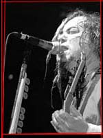 max on the soulfly concert
